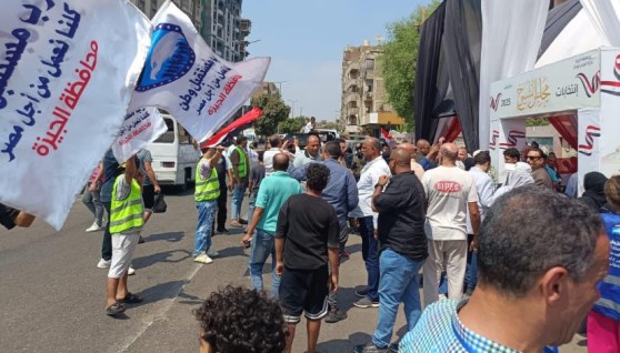 انتخابات مجلس الشيوخ 2025