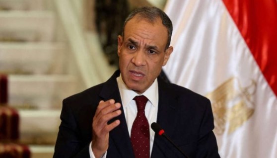  الدكتور بدر عبد العاطى وزير الخارجية والهجرة