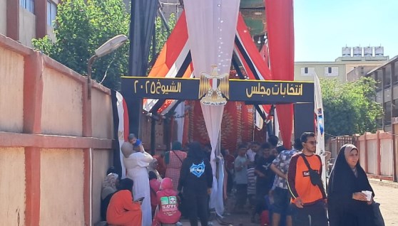 جانب من انتخابات مجلس الشيوخ 2025