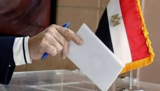 انتخابات الشيوخ 2025