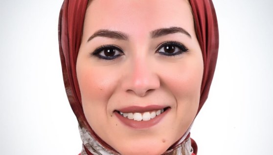 المهندسة عبير  الشربيني