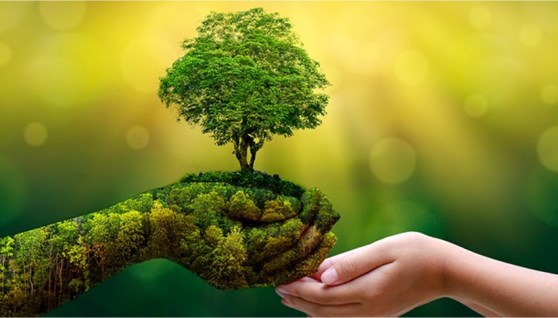 صورة لتشخيص البنية التحتية الخضراء- أرشيفية