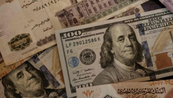 سعر الدولار اليوم 