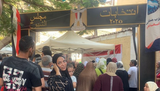 انتخابات مجلس الشيوخ