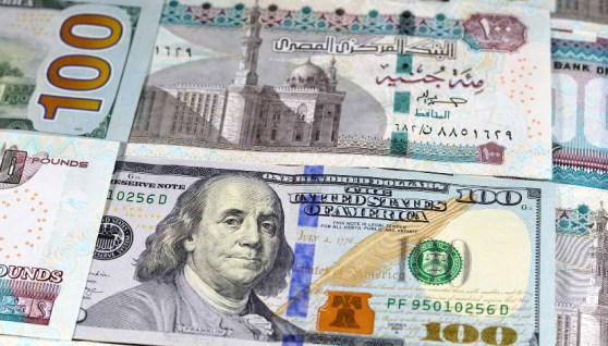 الجنيه يرتفع 4.6% أمام الدولار