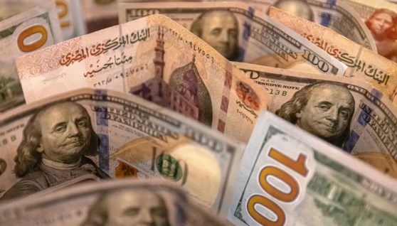 سعر الدولار اليوم 