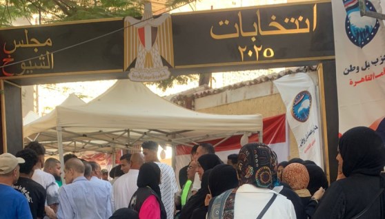 لجان السيدة زينب 