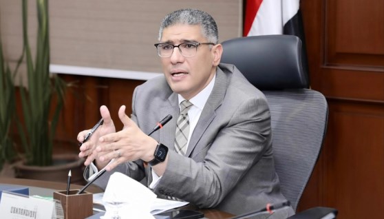 المهندس عادل النجار محافظ الجيزة 