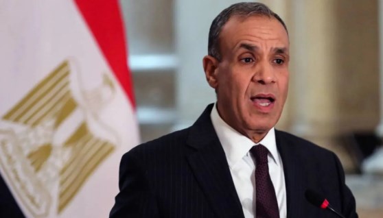 وزير الخارجية الدكتور بدر عبدالعاطي