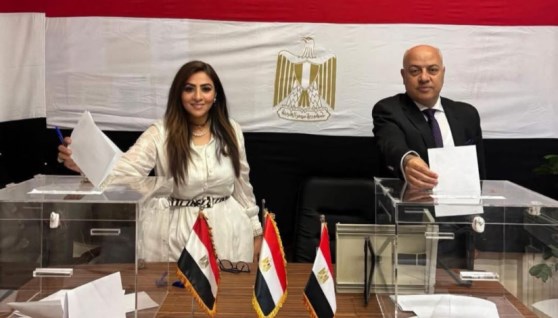 السفير عبد الرحيم متولي السفير المصري في النرويج