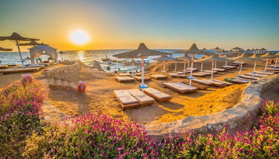 رحلة شرم الشيخ من وزارة الشباب والرياضة