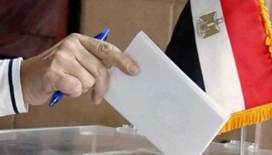 انتخابات مجلس الشيوخ 2025
