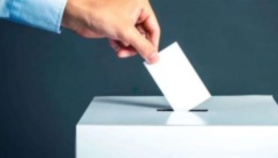  انتخابات مجلس الشيوخ 2025