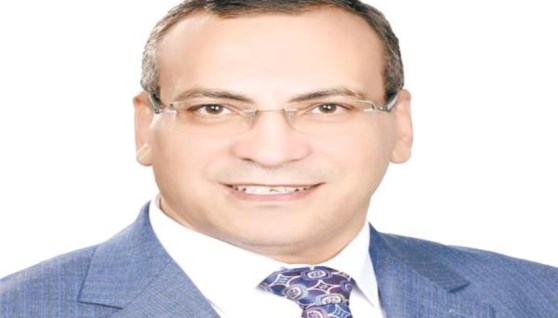 علاء سليم، أمين عام اتحاد المصريين بالخارج