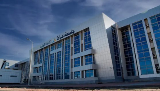 جامعة دمياط 