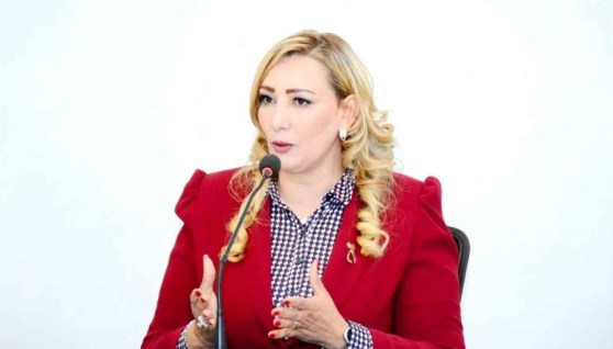 الدكتورة جيهان جادو 
