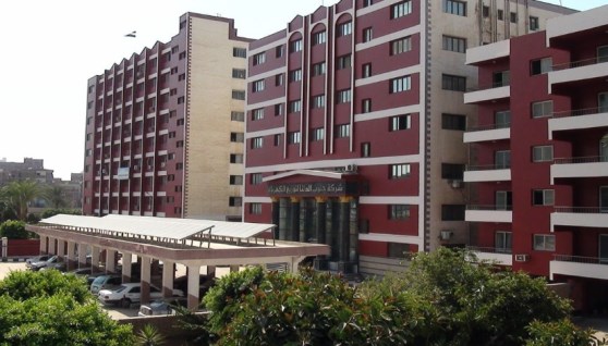 شركة جنوب الدلتا لتوزيع الكهرباء