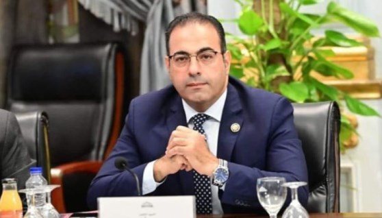 الدكتور محمود حسين أمين أمانة المصريين بالخارج بحزب مستقبل وطن