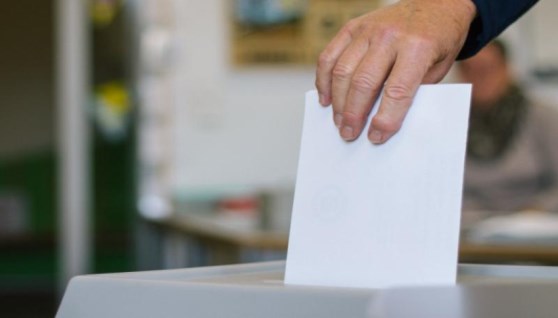 انتخابات مجلس الشيوخ 2025