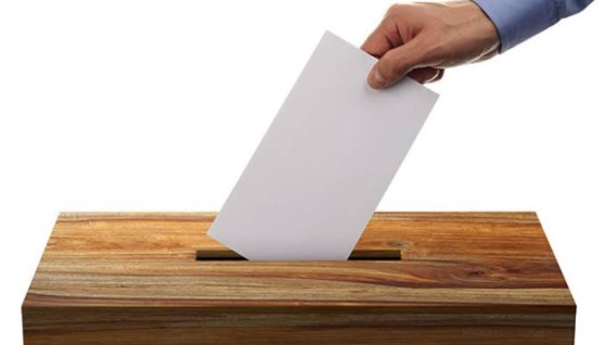 انتخابات مجلس الشيوخ 2025