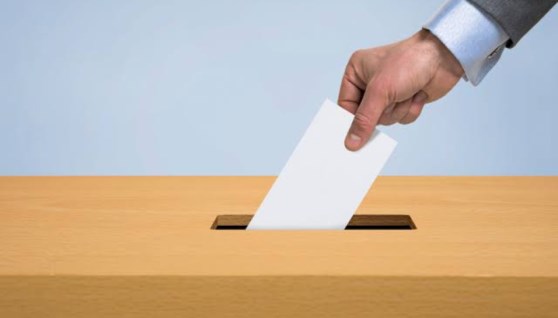 انتخابات مجلس الشيوخ 2025