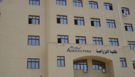 تنسيق المرحلة الثانية لكلية زراعة 