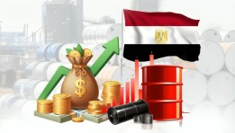 الاستثمار في مصر