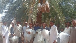 جانب من العملية الميدانية