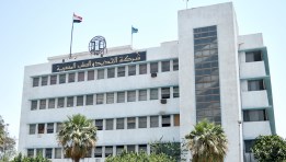 شركة الحديد والصلب المصرية