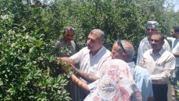 جانب من الارشاد الزراعي 