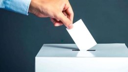انتخابات مجلس الشيوخ  2025