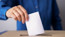 انتخابات مجلس الشيوخ 2025