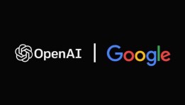 شركتي جوجل وOpenAI 