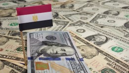 احتياطي النقد الأجنبي في مصر