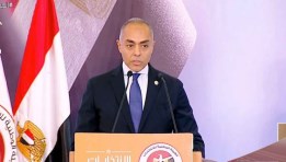 المستشار أحمد بنداري