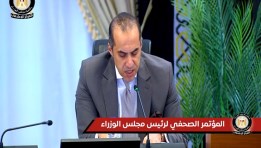 المستشار محمود فوزي