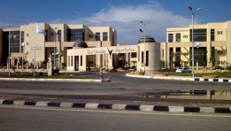 جامعة سيناء الخاصة 2025