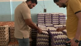 من مضبوطات محافظة الغربية