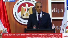 أحمد بنداري مدير الجهاز التنفيذي للهيئة الوطنية للانتخابات