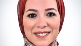 المهندسة عبير  الشربيني
