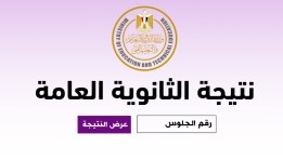 نتيجة الثانوية العامة 2025 دور ثاني