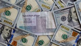 سعر الدولار في مصر