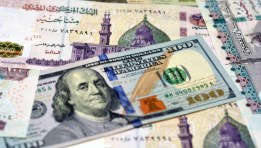 سعر الدولار في مصر