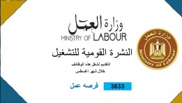 وزارة العمل 
