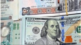 سعر الدولار اليوم 