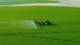 أسواق تصديرية 