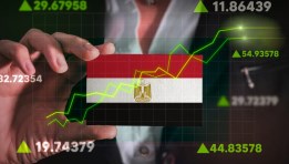 الأداء المالي للعام 2024/2025 في مصر