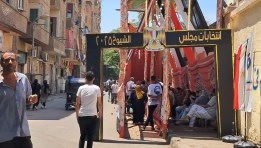 انتخابات مجلس الشيوخ 2025