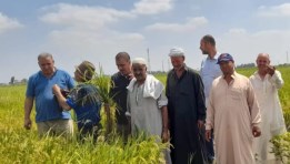 الأنشطة البحثية لمركز البحوث الزراعية