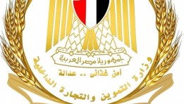 وزارة التموين والتجارة الداخلية